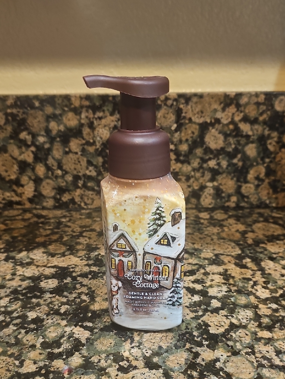 BBW Cozy Winter Cottage Foaming Hand Soap